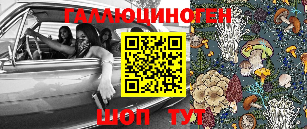 Галлюциногенные грибы Cubensis  Вход с VPN  Комсомольск-на-Амуре  Псилоцибиновые грибы Cubensis 